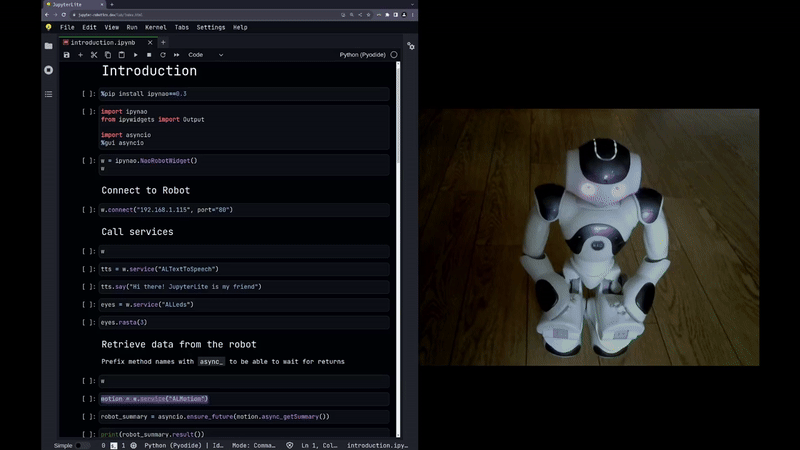 Nao Robot Dance Demo