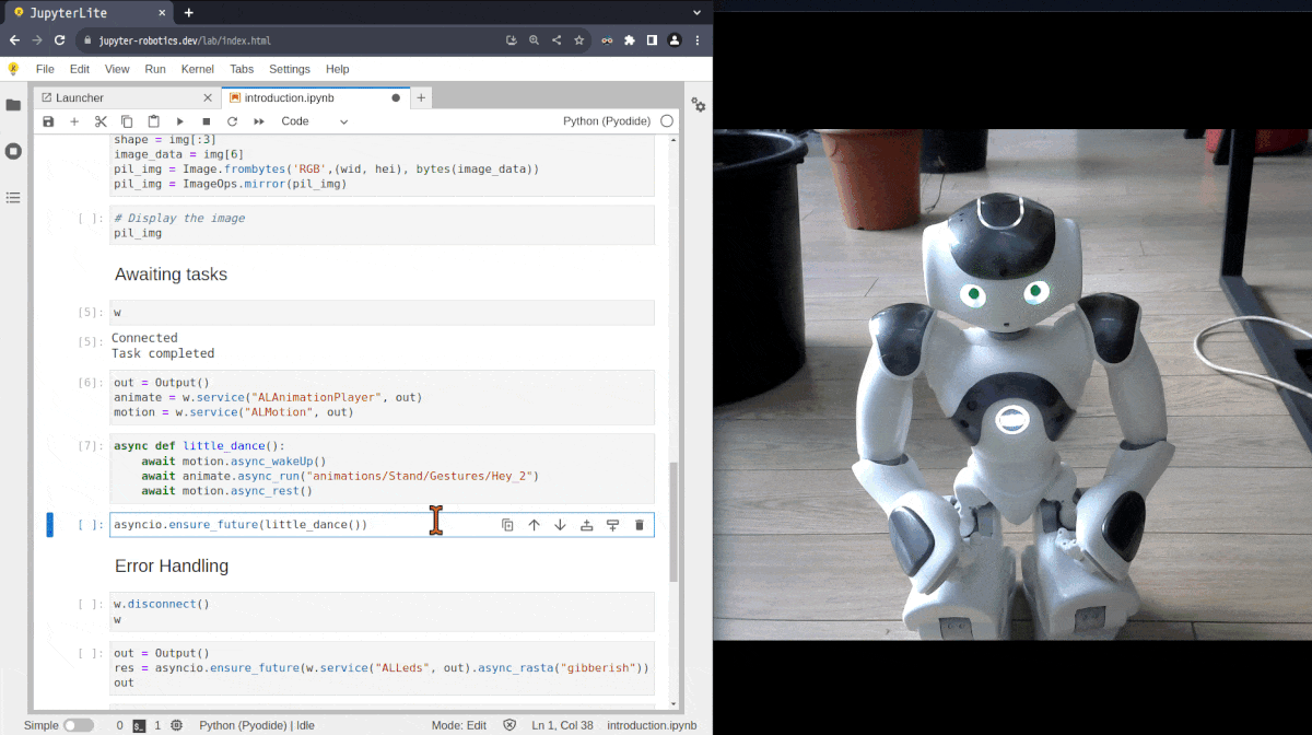Nao Robot Hey Demo
