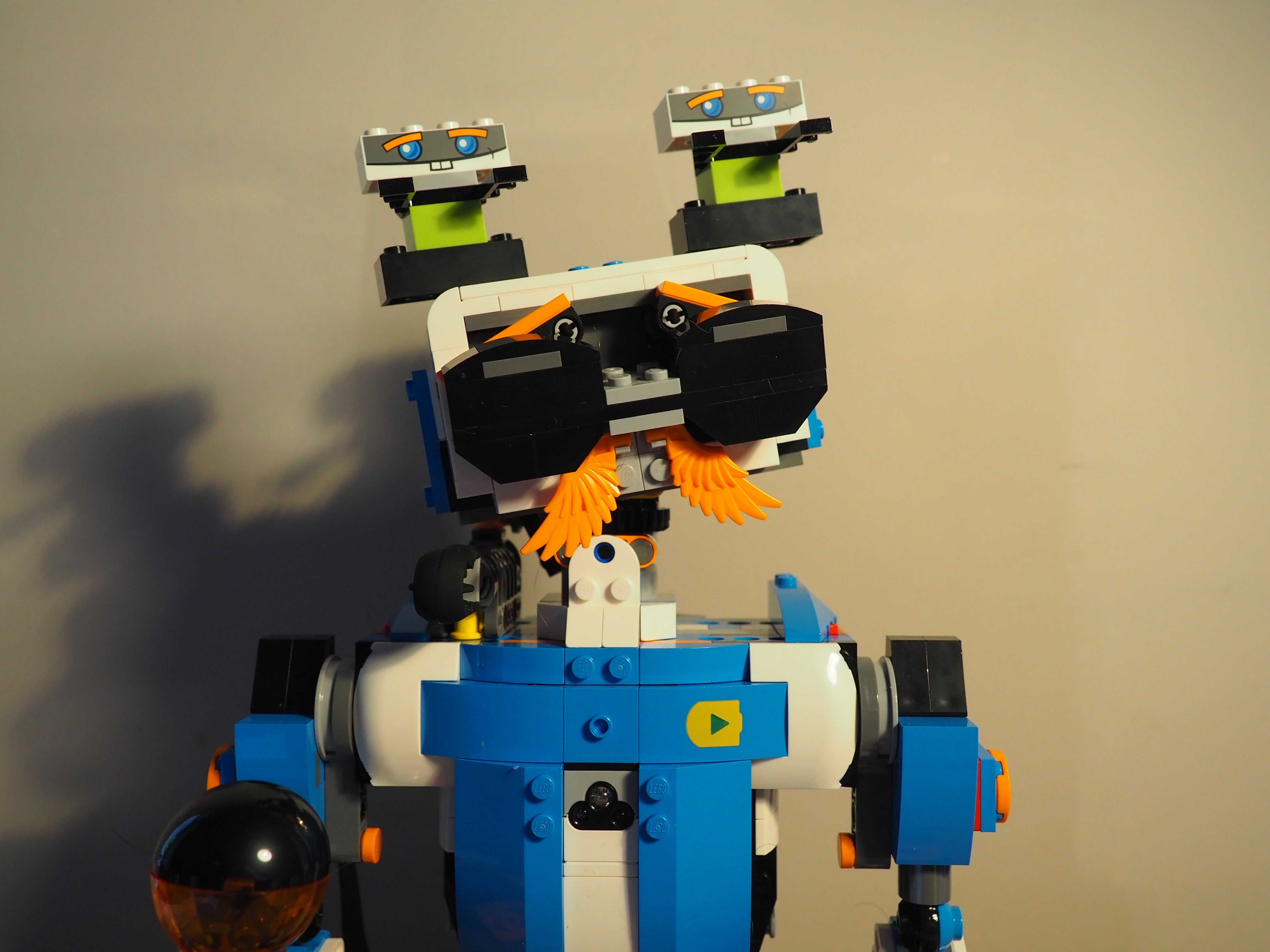Vernie with sunglasses
